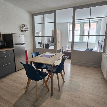 Appartement Au Calme Idealement Place A Macon. Екстер'єр фото