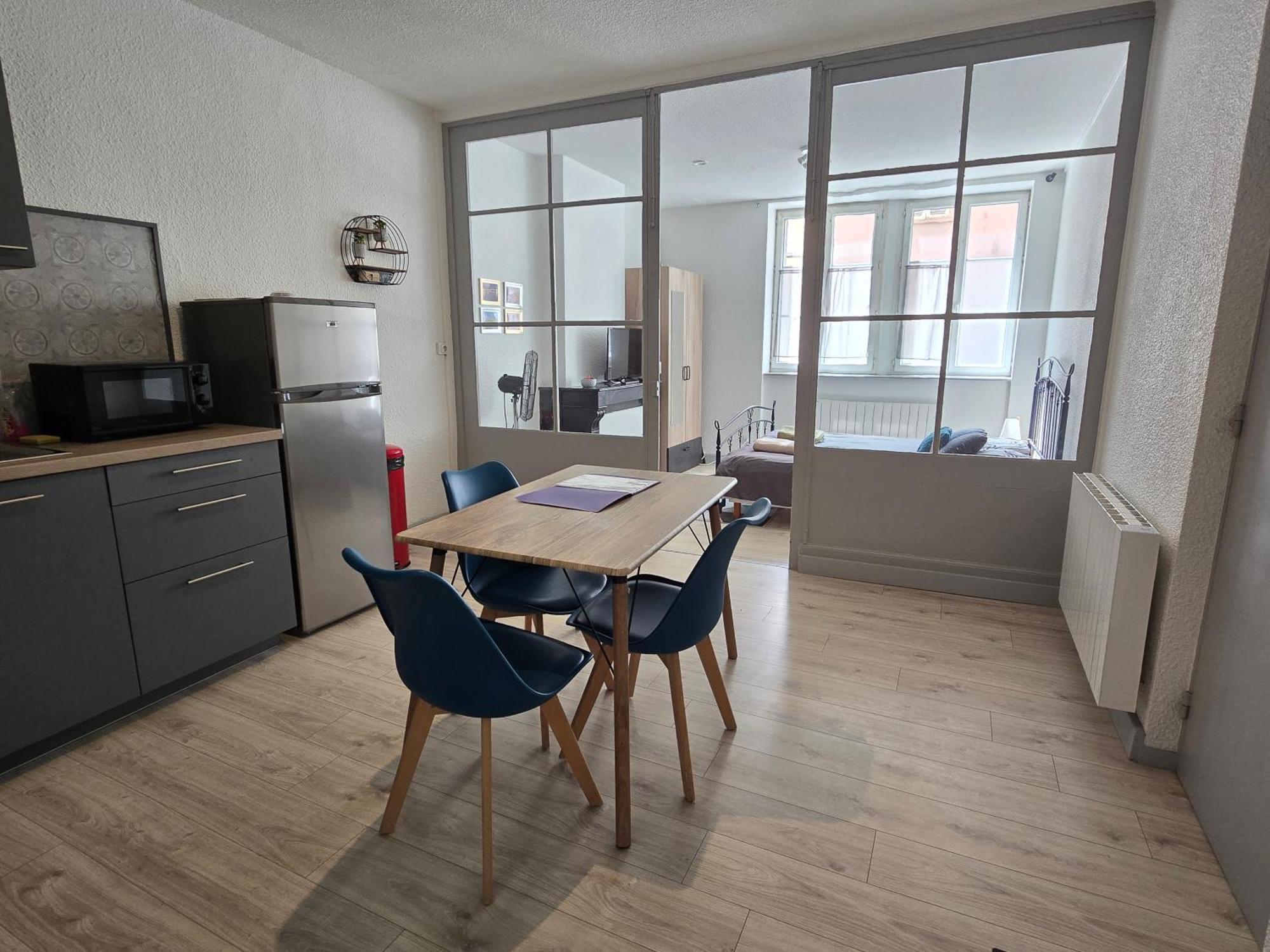 Appartement Au Calme Idealement Place A Macon. Екстер'єр фото